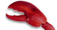 Lobster PNG Free Download 22