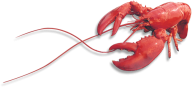 Lobster PNG Free Download 27