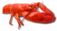 Lobster PNG Free Download 28