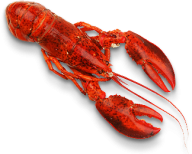 Lobster PNG Free Download 30