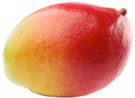 Mango PNG Free Download 2