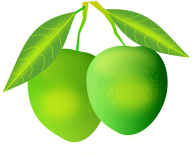 Mango PNG Free Download 21