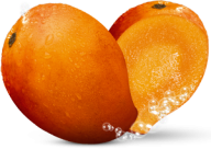 Mango PNG Free Download 23