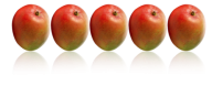 Mango PNG Free Download 25