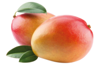 Mango PNG Free Download 9