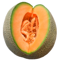 Melon PNG Free Download 16