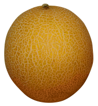 Melon PNG Free Download 20