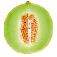 Melon PNG Free Download 22