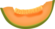 Melon PNG Free Download 24
