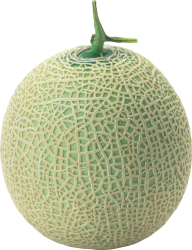 Melon PNG Free Download 28