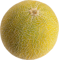 Melon PNG Free Download 29