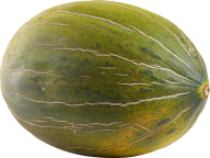 Melon PNG Free Download 30