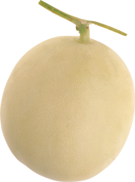 Melon PNG Free Download 31