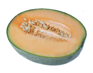 Melon PNG Free Download 40