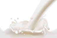 Milk PNG Free Download 19