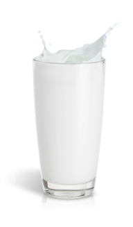 Milk PNG Free Download 33