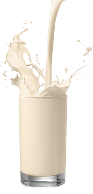 Milk PNG Free Download 36