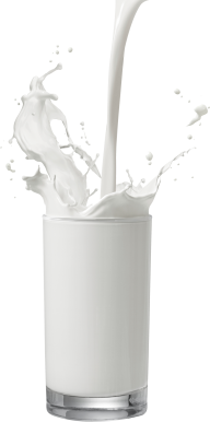 Milk PNG Free Download 38