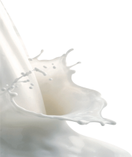 Milk PNG Free Download 63