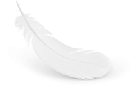 Milky white Feather download
