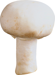mushroom but free download png