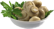 mushroom pasta  free download png