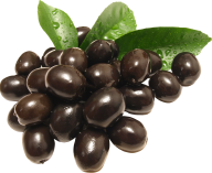 Olives PNG Free Download 1