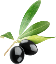 Olives PNG Free Download 10