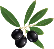 Olives PNG Free Download 13