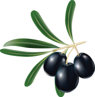 Olives PNG Free Download 14