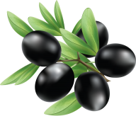 Olives PNG Free Download 15