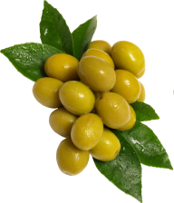 Olives PNG Free Download 2