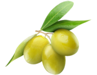 Olives PNG Free Download 23