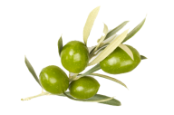 Olives PNG Free Download 25