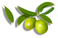 Olives PNG Free Download 26