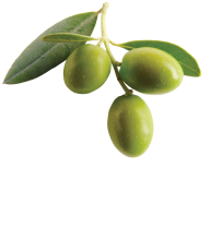 Olives PNG Free Download 27