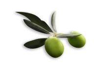 Olives PNG Free Download 29