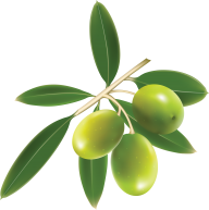 Olives PNG Free Download 3