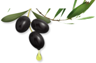 Olives PNG Free Download 32
