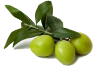 Olives PNG Free Download 34