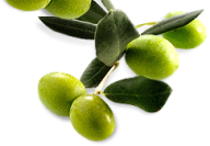 Olives PNG Free Download 35