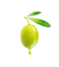 Olives PNG Free Download 36