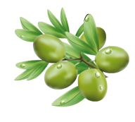 Olives PNG Free Download 38