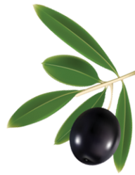 Olives PNG Free Download 39