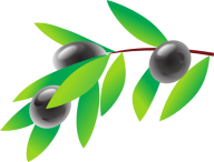 Olives PNG Free Download 40