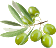 Olives PNG Free Download 44