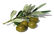 Olives PNG Free Download 45