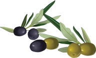 Olives PNG Free Download 48