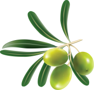 Olives PNG Free Download 5