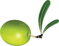 Olives PNG Free Download 55